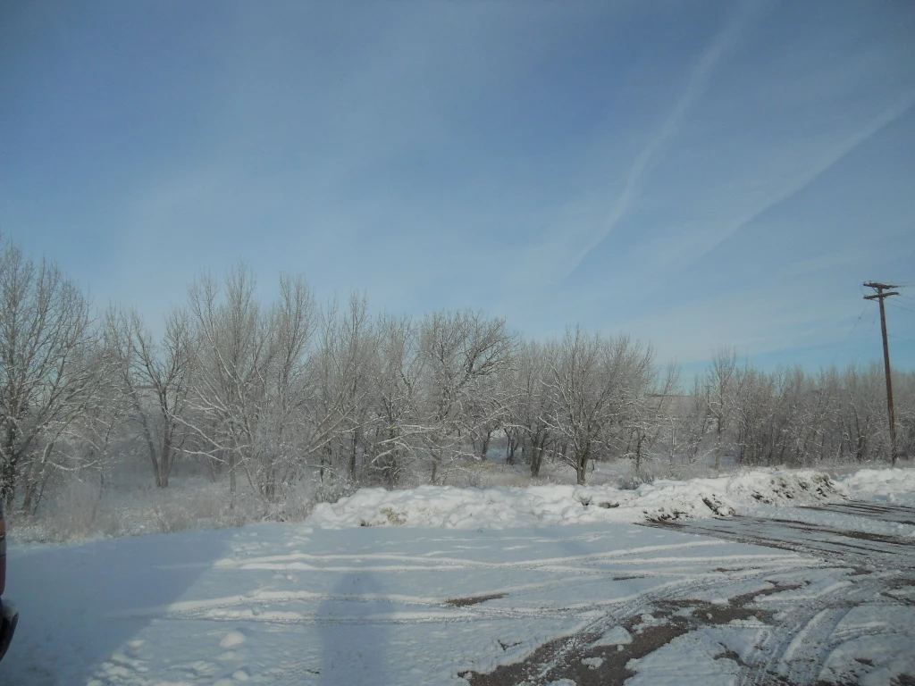 Winter Weather Winter Weather