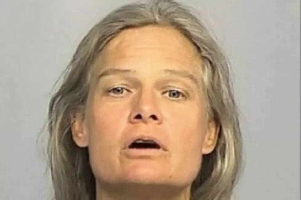 Carol Palomo Charged With Two Counts Of Interference With Custody