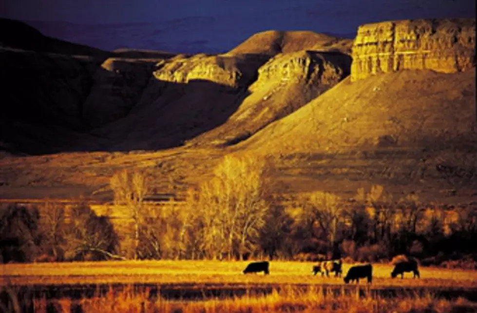 Couple Rescued in Bighorn Mountains