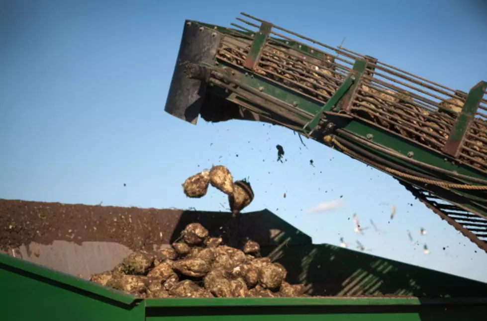 Latest Bankers Survey Indicates Shrinking Rural Economy