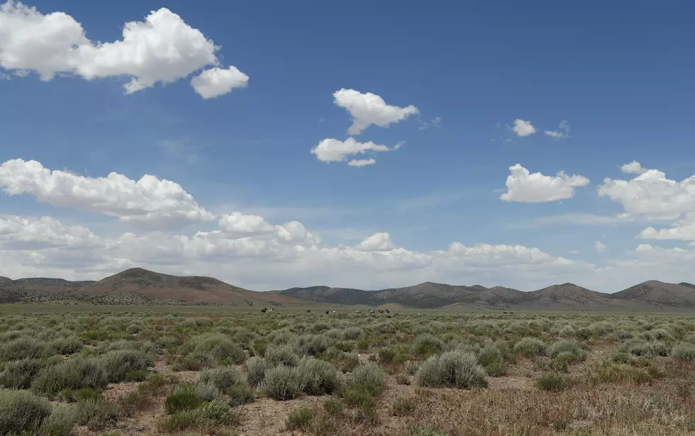 Interior Boss Order Aims to Protect U.S. Public Land Access