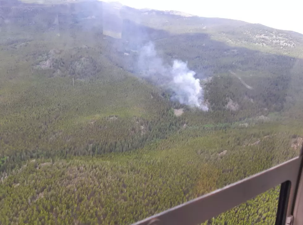 Two Die in Plane Crash North of Buffalo; Fire Started in Forest