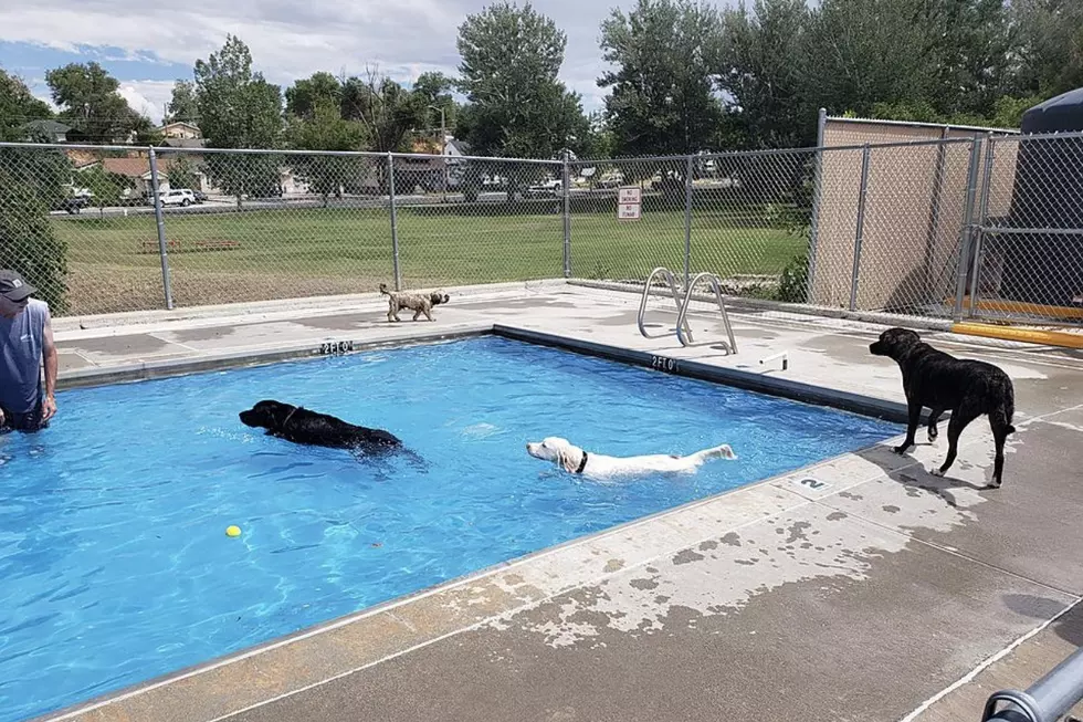 Care to Share Your Two Cents on Washington Park’s Makeover?