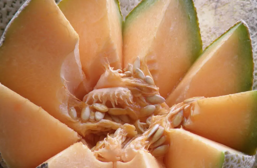 CDC Warns of Salmonella Outbreak Linked to Cantaloupes and Pre-cut Fruit Products