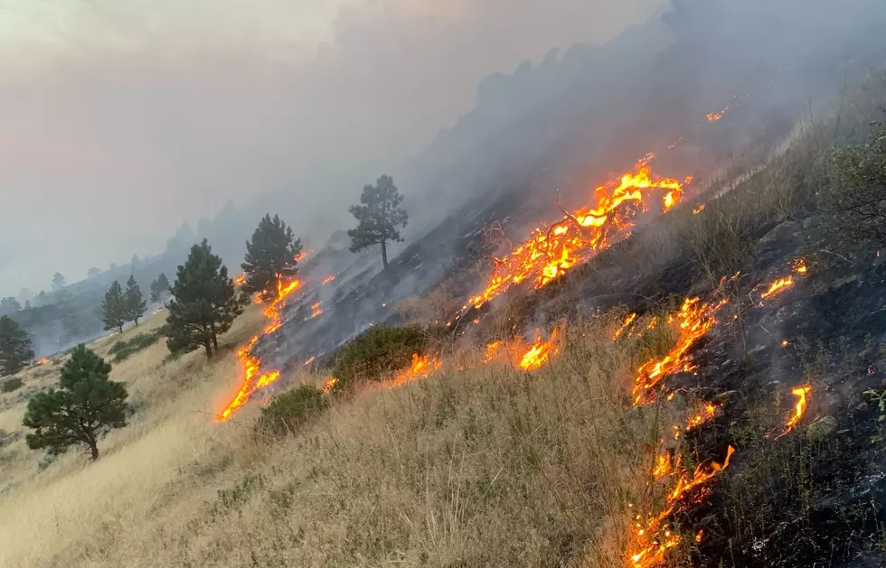 Firefighters continue progress in containing wildfires
