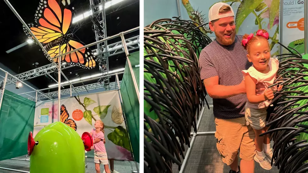 The Science Zone to host immersive butterfly exhibit