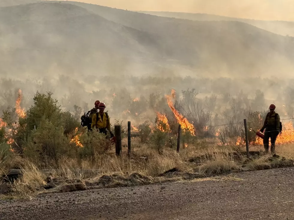 Multiple Wildfires Burn in Wyoming, See Latest Updates Here