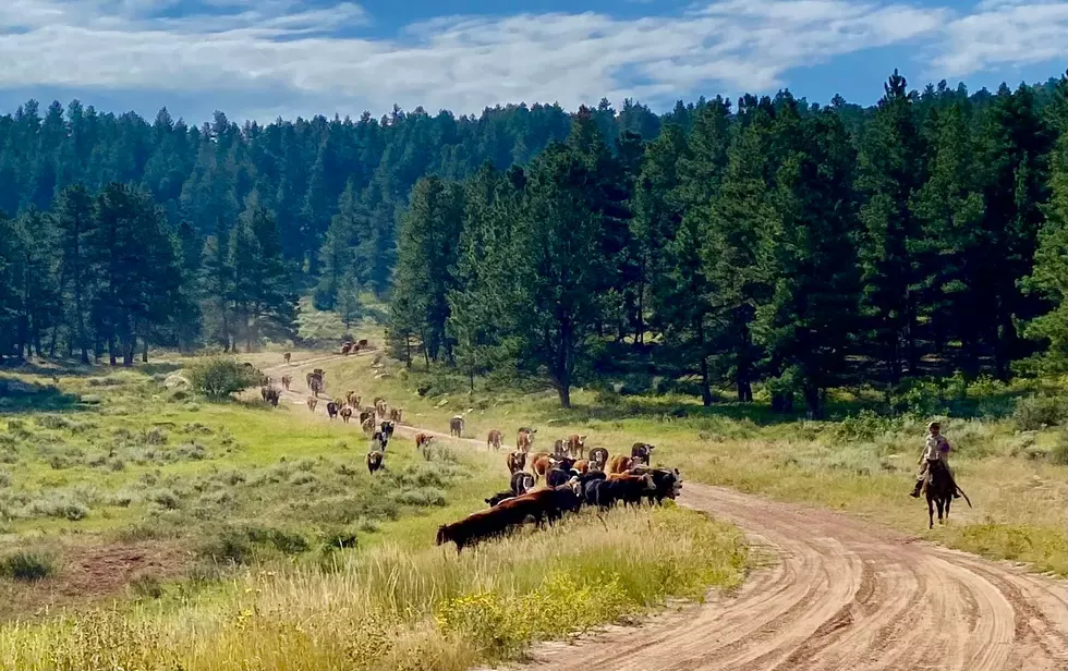 Sixth-Generation Ranchers, Wyoming Roots: The Brooks-McCleary Family Legacy