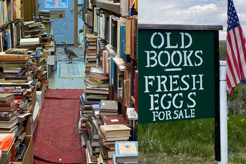 A Hidden Bookstore Thrives Along Wyoming’s Open Road