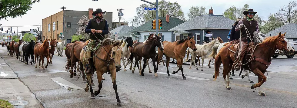 Look: Historic Eaton’s Horse Drive Through Downtown Sheridan, Wyoming