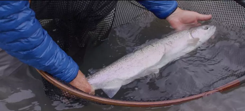 The 2022 Fly Fishing Film Tour Will Make 3 Stops In Wyoming