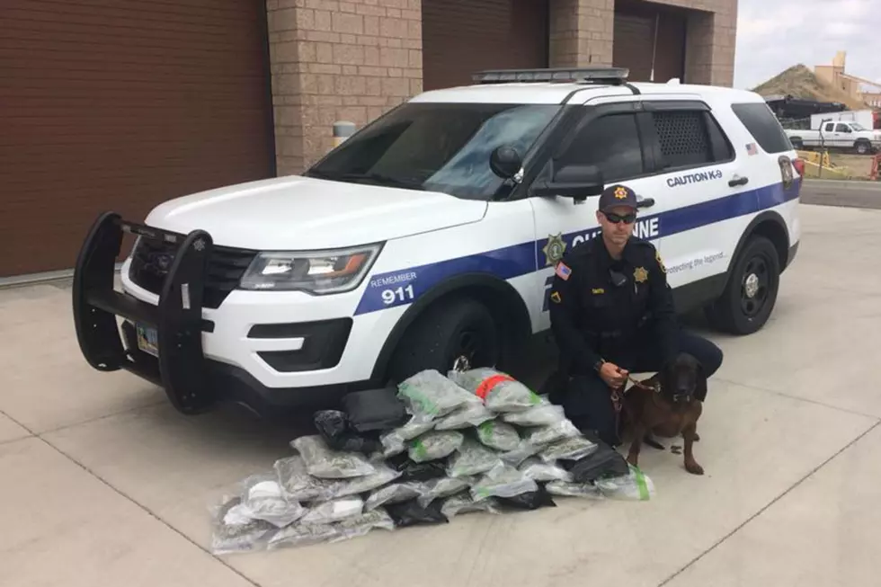 38 Pounds of Marijuana Seized in Cheyenne Traffic Stop